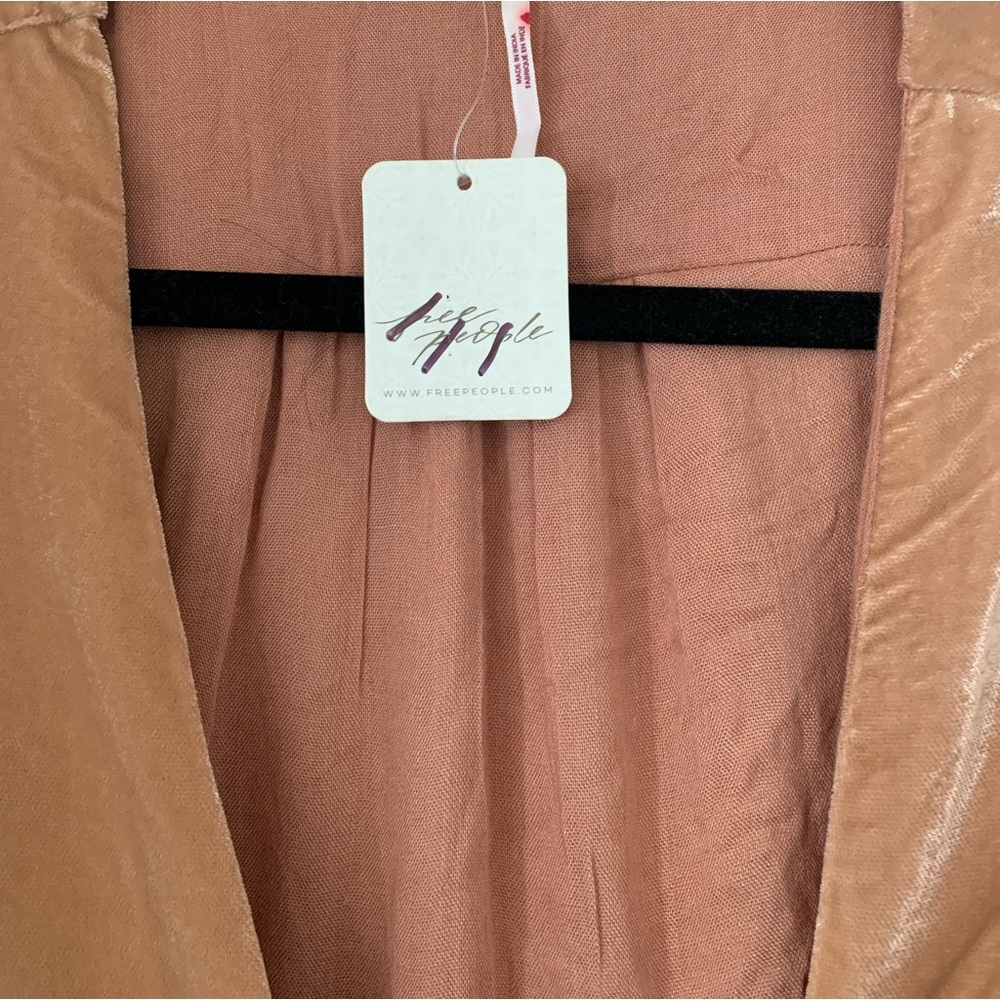FP Velvet Dress